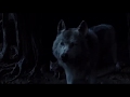Bagheera And Baloo Searching For Mowgli