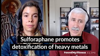 Sulforaphane promotes detoxification of heavy metals | Jed Fahey