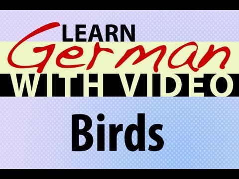 Learn German with Video Common Animals