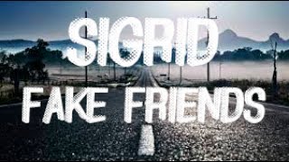 Sigrid fake friends