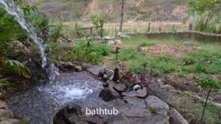 Volunteer needed in  an organic farm in Ecuador full spanish practice with local people