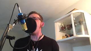 Through My Eyes - In Flames LIVE RAW VOCAL COVER
