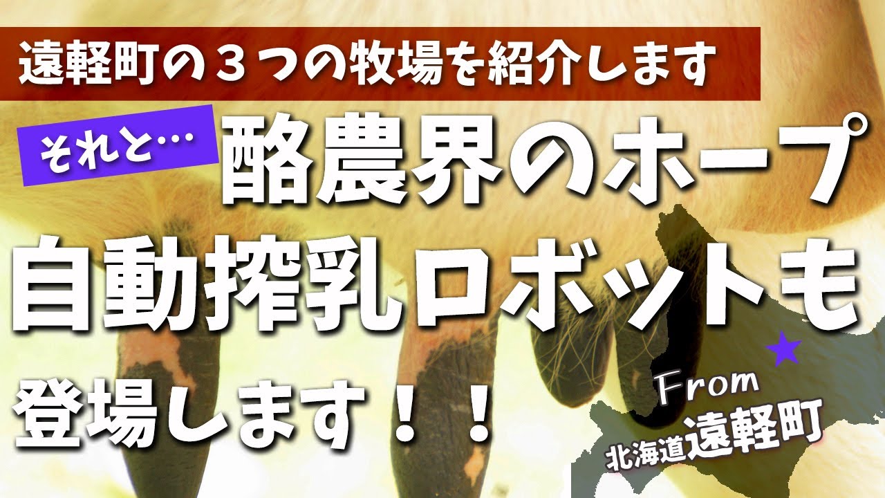 有限会社林牧場＆有限会社リゲルファーム＆社名渕みどり牧場