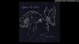 Spider & Bird - Hater (original mix)