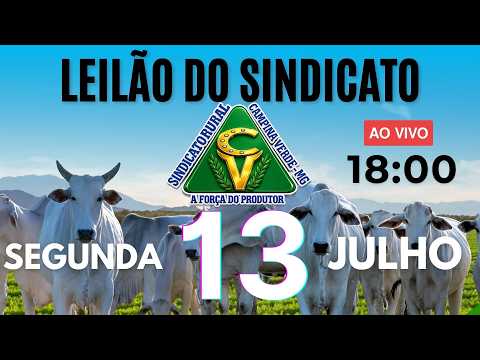 Leilão Sindicato Rural Campina Verde - 13 de Julho 2026
