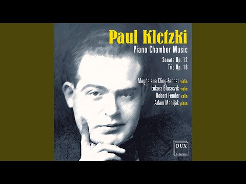 Piano Trio in D Major, Op. 16: I. Allegro moderato - Poco piu sostenuto - Meno mosso - Tempo I...