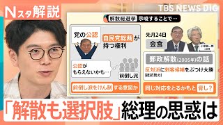 「解散総選挙も選択肢」？“総裁選前倒し”を牽制か　石破総理の思惑は【Nスタ解説】｜TBS NEWS DIG