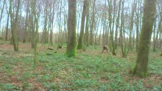 Sortie 88 Belle journée avec de l OR ( Gold coin )