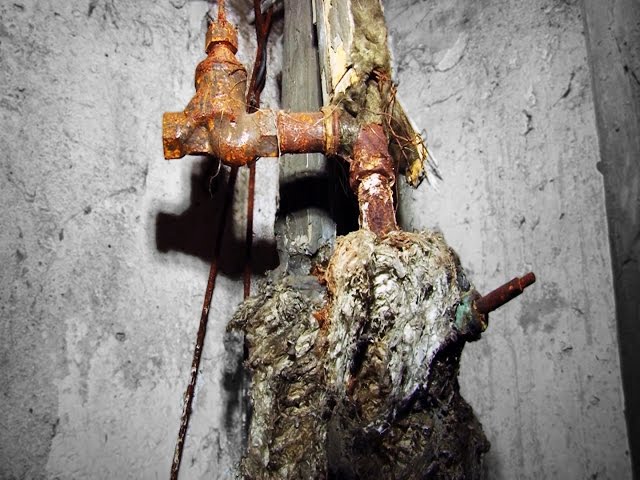 Работу ЖЭКов поставили на особый контроль