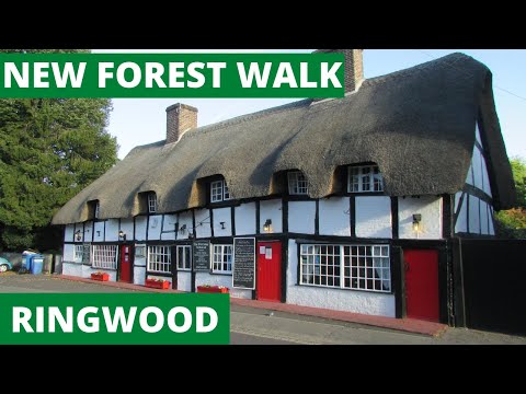 NEW FOREST WALK at RINGWOOD (NEW FOREST NATIONAL PARK)