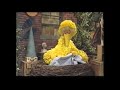 Sesame Street Sing Hoot Howl With The Sesame Street Animals Part 6