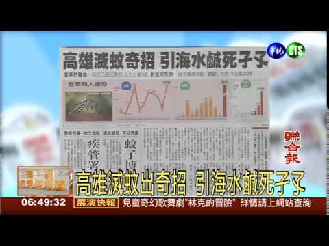 高雄滅蚊出奇招 引海水鹹死孑孓