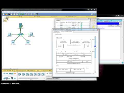 Lab 7.3.1.2 - TCP and UDP Communications
