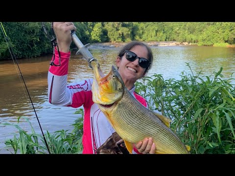 Pescaria Esportiva de Dourado! no Rio Jesuitas PR, o Pulo desse peixe é Sensacional...