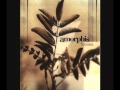 Amorphis - NL