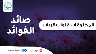 صورة صائد الفوائد | الحلقة الثانية | المخلوقات قنوات القربات