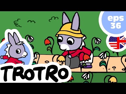 TROTRO ENGLISH - EP36🌱 🌿 - Trotro waters the garden