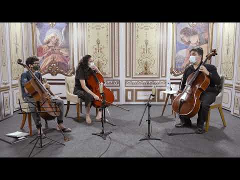 FIMI - Workshop de Violoncelo - Prof. Fábio Presgrave - Parte 1