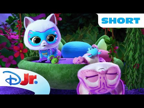 Bitsy Goes on a Nighttime Wild Jungle Adventure! 🌙🌌 | SuperKitties Su-Purr Adventures | @disneyjr