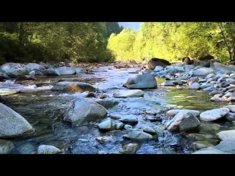 Guided Meditation: 30 Minutes Guided Meditation - Track 04