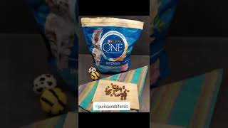 Découverte des 𝑪𝒓𝒐𝒒𝒖𝒆𝒕𝒕𝒆𝒔 PURINA ONE BIFENSIS 𝒑𝒐𝒖𝒓 𝒄𝒉𝒂𝒕𝒔 𝒔𝒕𝒆́𝒓𝒊𝒍𝒊𝒔𝒆́𝒔 Purina ONE