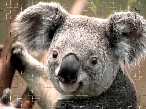 TONEY LEE  night lights