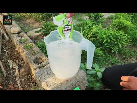 This Homemade Spray MELTS Weeds in 24 Hours! (No Chemicals!)