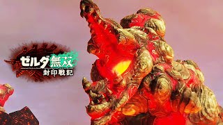 やっぱり『イルバジア』は今作でも〇〇でした！！【ゼルダ無双 封印戦記】#12