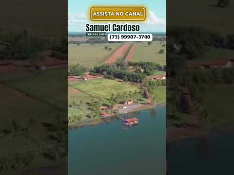 FAZENDA CINEMATOGRÁFICA EM GOIÁS | PECUÁRIA E AGRICULTURA PRONTAS #shorts #agro