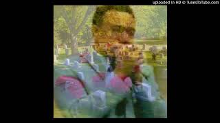 MARK HOLDER   -  The organ never played