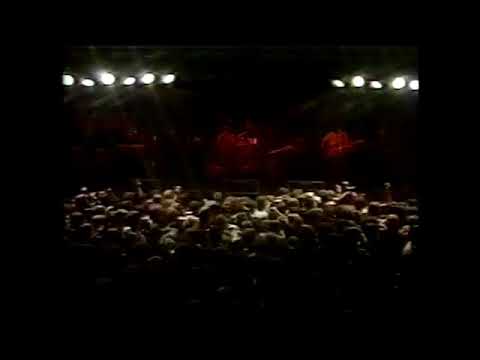 The Undertones -  Tearproof Live in Belfast 1981