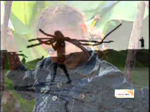 I & I Destiny/ by: Ras Iyahkayah