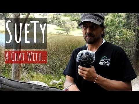 Art & Education to Save a Bird from Extinction