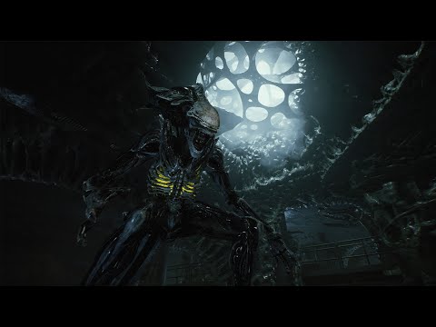 Wiki Aliens : L'Histoire d'Aliens : Fireteam #4/5