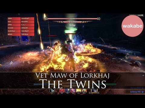 Vet Maw of Lorkhaj "The Twins" Fight - NO DEATHS | Vigilants of Atom First Complete