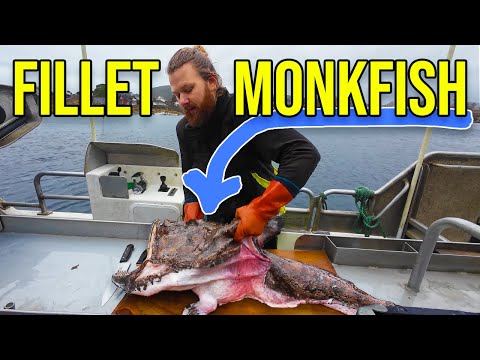 How to Clean and Fillet Monkfish: Tail, Cheeks, and Liver