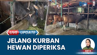 DPKP Palangkaraya Cek Hewan Kurban Jelang Idul Adha 2024, Drh Ganjar: Ada 4 Lokasi Pemeriksaan