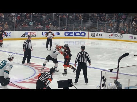 Fight! Ducks Sharks drop gloves as soon as the game starts