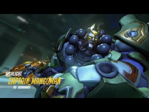 Reinhardt* GMSR