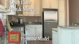 preview picture of video 'Primrose Model on Homesite 36 - Sky Legend, Gypsum, CO'