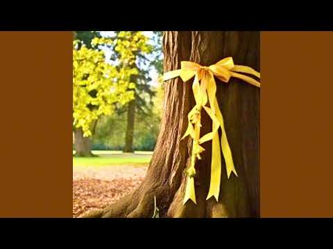 Video thumbnail LZsjZA-94qU