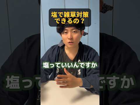庭に塩をまく：植物にとって有益ですか？  庭園