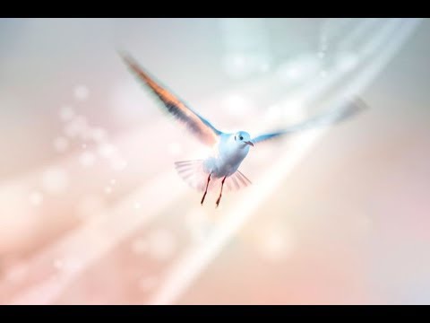 download lagu mp3 mp4 Meu Deus Meu Tudo, download lagu Meu Deus Meu Tudo gratis, unduh video klip Meu Deus Meu Tudo