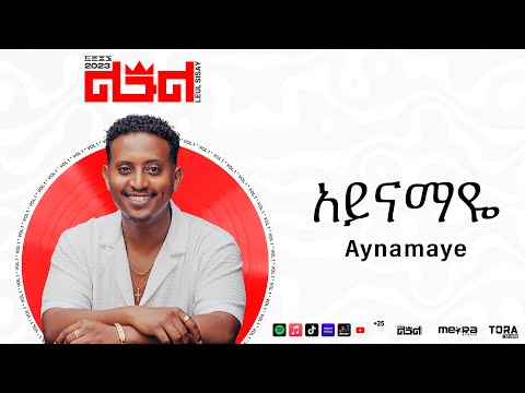 Leul Sisay - አይናማዬ _ Aynamaye Track 11 (Official Audio)
