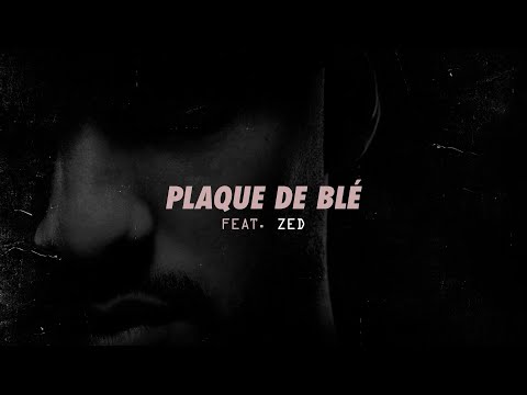 Video thumbnail for Plaque de Blé
