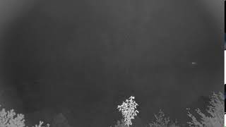 Colorado · Mountain Sky Cabin live stream