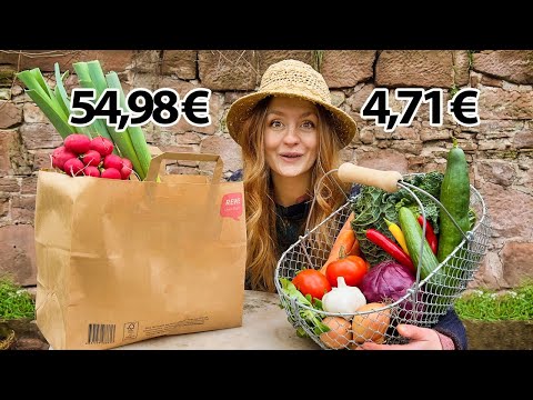 Grow your own vegetables and save a lot of money!