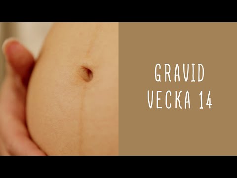 Gravid vecka 14