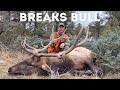 Montana Public Land Elk Hunting