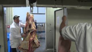A career in butchery
